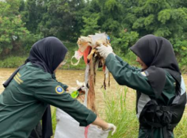 Aksi Himasper IPB University Bersihkan Sungai Ciliwung