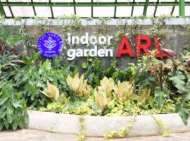 Apa Bedanya Prodi Arsitektur Lanskap IPB University dengan yang Lain? Ini Jawaban Kakak Duta IPB