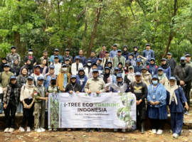 Departemen Arsitektur Lanskap IPB University Selenggarakan Pelatihan i-Tree Eco di Hutan Kota Srengseng, Jakarta