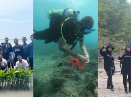 Ini Tiga Keunggulan Prodi Ilmu dan Teknologi Kelautan IPB University