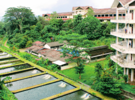 Mahasiswa: Kuliah di Prodi TMPB IPB University Dijamin Tak Jenuh, Belajarnya Bisa Sambil Healing