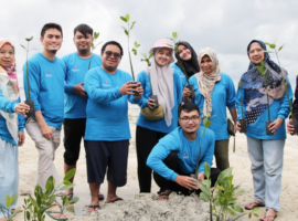 Mahasiswa Sekolah Pascasarjana IPB University Tanam Mangrove untuk Keberlanjutan Pesisir Pulau Kecil