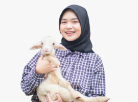 Cita-Cita Jadi Pengusaha Ternak Sukses? Tengok Prodi IPB University Ini, Salah Satu yang Terbaik di ASEAN