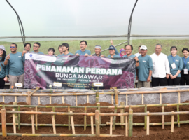 IPB University Tanam Perdana Bunga Mawar di ATP Pasir Sarongge, Cianjur