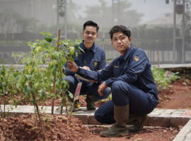 Kuliah di Prodi Manajemen Agribisnis Sekolah Vokasi IPB University, Bisa Buka Lapangan Pekerjaan