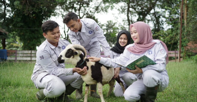 Ada Apa Saja di Prodi Teknologi dan Manajemen Ternak Sekolah Vokasi IPB University? Yuk Simak Profilnya