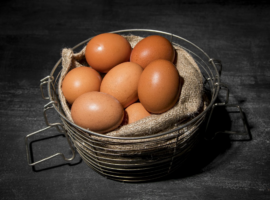 Peneliti IPB University bersama PT Nutricell Pacific Berhasil Kembangkan Telur Ayam Fungsional Kaya Vitamin D3