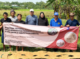 Dosen IPB University Tingkatkan Kualitas Pepaya dan Cabe dengan Geotekstil Sabut Kelapa