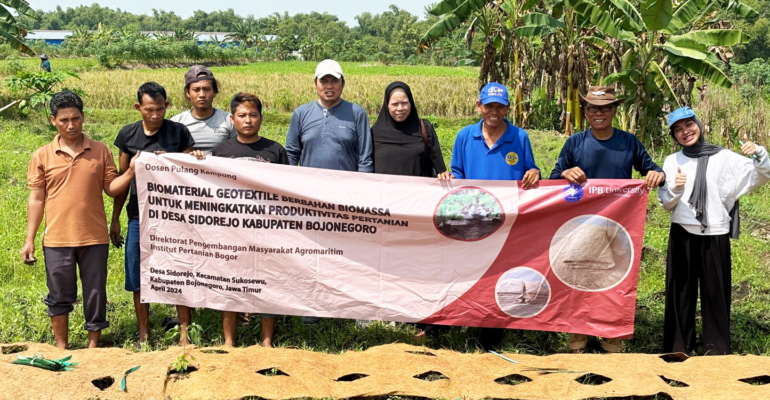 Dosen IPB University Tingkatkan Kualitas Pepaya dan Cabe dengan Geotekstil Sabut Kelapa