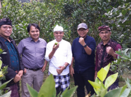 IPB University Jajaki Lokasi KKN-T 2024 di Kabupaten Gianyar dan Kabupaten Magelang