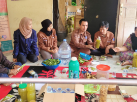 Mahasiswa IPB University Ber Penyuluhan Manfaat Daun Pepaya untuk Pestisida Nabati