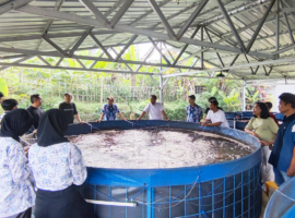 Prodi IKN Sekolah Vokasi IPB University Tingkatkan Potensi Perikanan Budi Daya di Mulyaharja