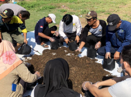 HIjaukan Desa Ciranggon, Mahasiswa KKNT IPB University Lakukan Penanaman Pekarangan Rumah