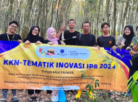 Mahasiswa IPB University Lakukan Penguatan 3K1W dengan Agroforestri Karet Lengkuas di Tiyuh Mulya Jaya