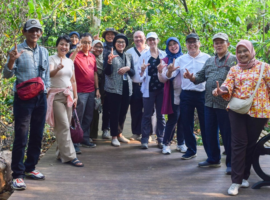 IPB University Gelar Visit Mangrove Planting Project di Hutan Mangrove Blok Elang Laut