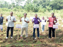Kick Off Program Inovasi Ekosistem Bisnis Desa, IPB University dan PT Agrinesia Raya Tanam Talas Perdana