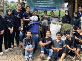 Mahasiswa KKNT Inovasi IPB University Latih Peternak Purwasari Pembuatan Pakan Silase