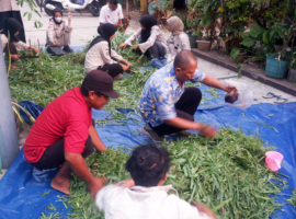 Tim PPK Ormawa Himasiter IPB University Inisiasi Bank Pakan, Dukung Kualitas Ternak di Desa Sinarsari