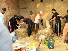 Ubah Limbah Pertanian Jagung Jadi Lebih Berguna, Tim KKNT Inovasi Mengenalkan Kompos ke Petani dan Peternak