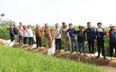 Tim PPK Ormawa Himakua IPB University Launching Mina Padi Pertama di Desa Sukajadi, Bogor