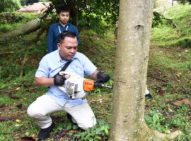 IPB University dan WRI Indonesia Gelar Training Forensik Kayu