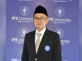 Benarkah Domba Boleh Memakan Makanan Manusia Berikut Penjelasan Dosen IPB University