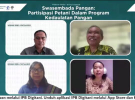 Pakar IPB University 99 Persen Produksi Pangan Indonesia Adalah Pertanian Rakyat