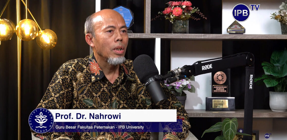 Dukung Swasembada Daging, Guru Besar IPB University Kembangkan Sistem Integrasi Sapi-Kelapa Sawit