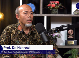 Dukung Swasembada Daging, Guru Besar IPB University Kembangkan Sistem Integrasi Sapi-Kelapa Sawit