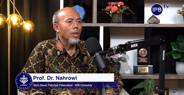 Dukung Swasembada Daging, Guru Besar IPB University Kembangkan Sistem Integrasi Sapi-Kelapa Sawit