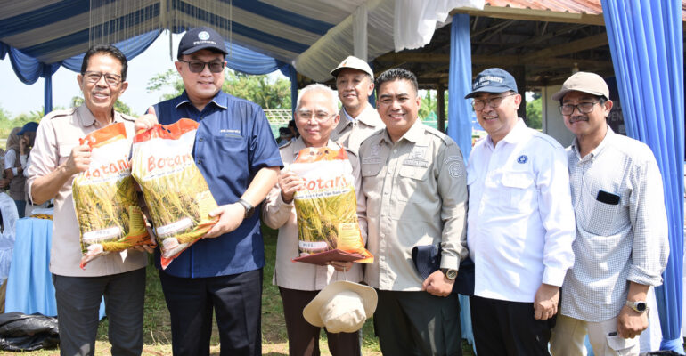 Rektor IPB University Dorong Para Periset Padi Terus Berinovasi, Berharap Tambah Varietas Baru