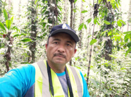Sambut Hari Keanekaragaman Hayati, IPB University Dukung Lutung Sentarum (Presbytis cruciger) Jadi Satwa Dilindungi