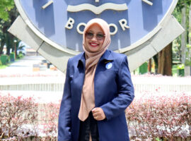 Temuan Peneliti IPB University Sarang Tawon Angkut-Angkut Berpotensi Menjadi Gel Penyembuh Luka