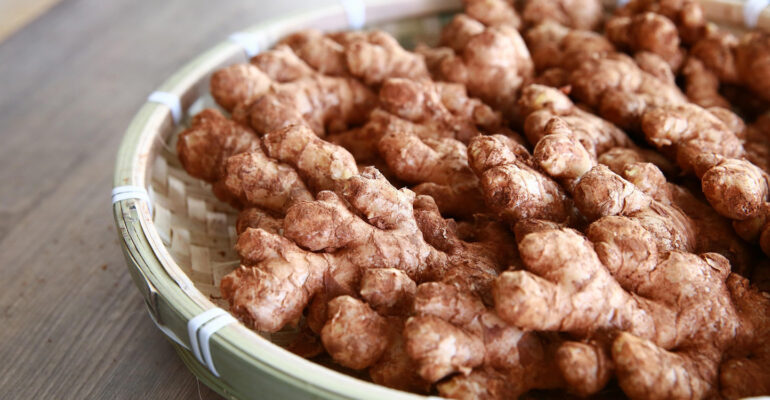 Guru Besar Fakultas Pertanian IPB University Jahe Emprit, si Kecil Pedas yang Strategis untuk Industri Herbal