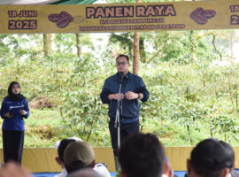 Panen Raya, Kopi Konservasi Cibulao Binaan IPB University Siap Ekspor ke Aljazair