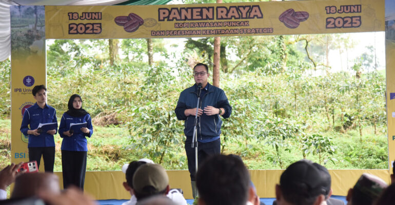 Panen Raya, Kopi Konservasi Cibulao Binaan IPB University Siap Ekspor ke Aljazair