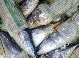 Penggunaan Kertas Bekas untuk Bungkus Ikan Pindang Berbahaya Ini Kata Pakar IPB University