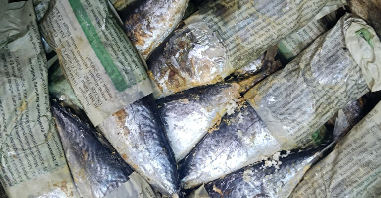 Penggunaan Kertas Bekas untuk Bungkus Ikan Pindang Berbahaya Ini Kata Pakar IPB University
