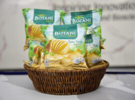Botani Chips Camilan Sehat dari Kentang Katineung Pemuliaan PKHT IPB University