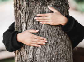 Dokter IPB University Peluk Pohon dalam Forest Bathing Bisa Redakan Stres