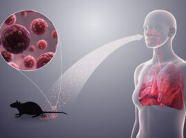 Dosen Sekolah Kedokteran Hewan dan Biomedis IPB University Kupas Tuntas Risiko Zoonosis Penyakit Hantav