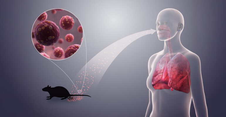 Dosen Sekolah Kedokteran Hewan dan Biomedis IPB University Kupas Tuntas Risiko Zoonosis Penyakit Hantav