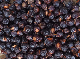 Guru Besar IPB University Ekstrak Buah Lerak Ampuh Turunkan Emisi Metan dan Tingkatkan Bobot Ternak