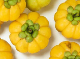 Guru Besar IPB University Ungkap Potensi Asam Gelugur sebagai Pelangsing Alami dan Antioksidan