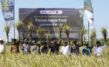 IPB University dan Astra Panen Padi IPB 9G di Kabupaten Sambas, Petani Hasilnya Jauh Lebih Baik