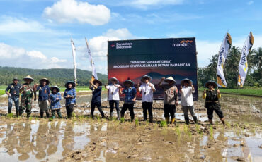 Melalui Sekolah Lapang Petani, IPB University Diseminasikan Varietas Padi Baru di Pelosok Selatan Jawa