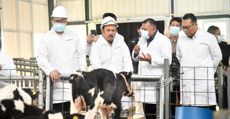 Menteri PPN Kepala Bappenas Tinjau Program Sapi Merah Putih di IPB University