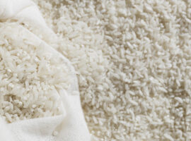 Pakar IPB University Ciri-Ciri Beras Oplosan Bisa Dikenali Secara Kasat Mata