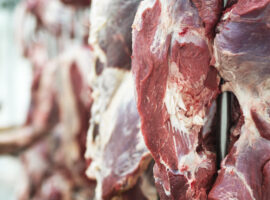 Pakar IPB University Ungkap Tantangan dan Strategi Ketergantungan Impor Daging Sapi di Indonesia