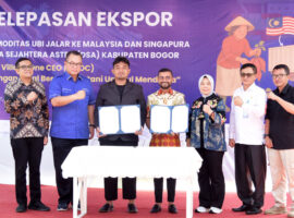 Program OVOC IPB University Tembus Ekspor Ubi Ungu ke Malaysia dan Singapura